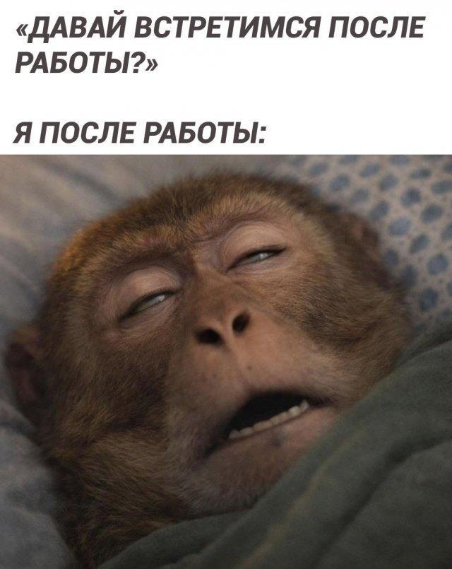 Картинки всякие разные невпопад 1.2