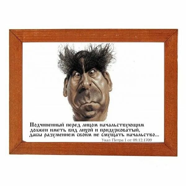 Котовторник. Прибавление.