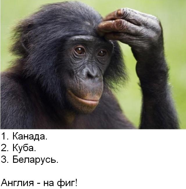 Полиция Торонто. Наши в Канаде.