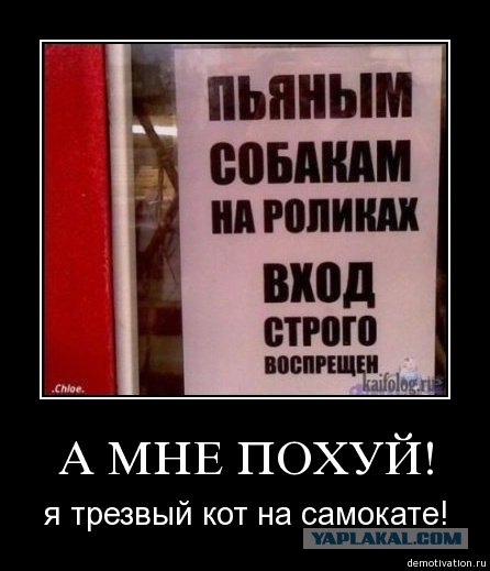 Личный сборник демотиваторов [~25]