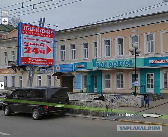 Днепропетровский пес стал звездой