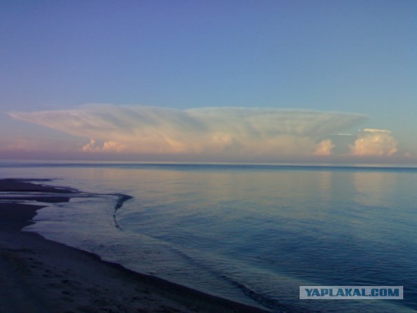 Фотография, сделанная при жизни