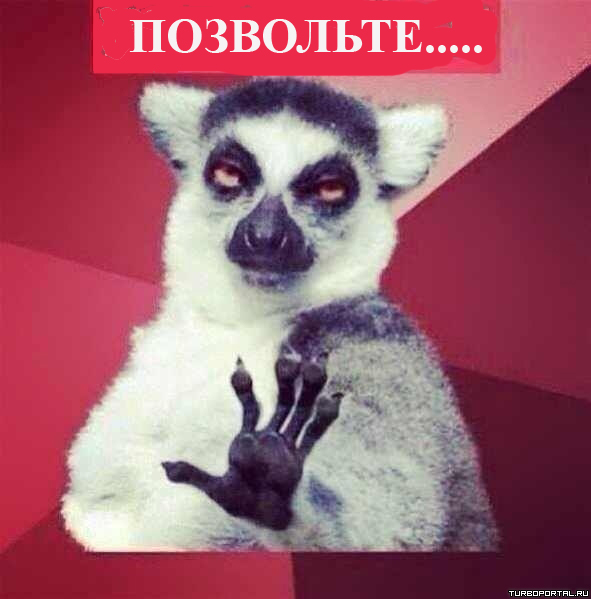 Патовая ситуация