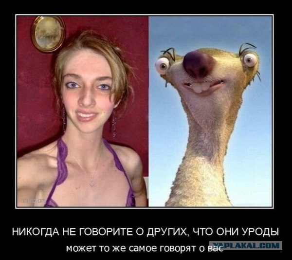 Звериная политика