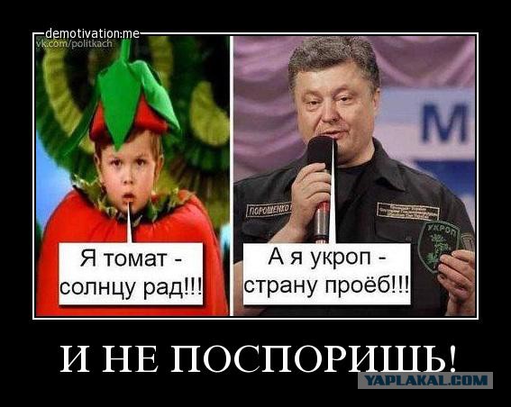 Порошенко дал России 10 дней, потом война