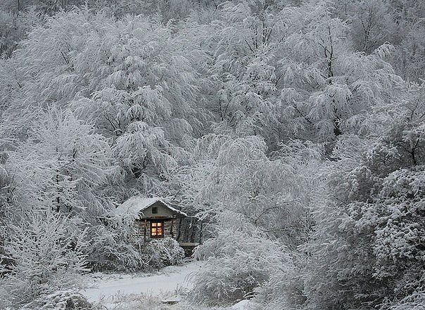 Лучшие фотографии месяца