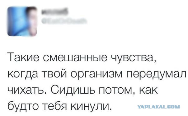 Картинки из сети на вторую часть пятницы
