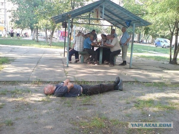 Рижане о шпротах: "Ну и правильно..."