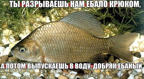 А вы так сможете?