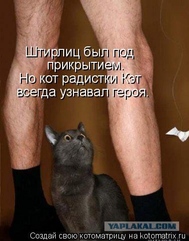 Такое приятное дежавю
