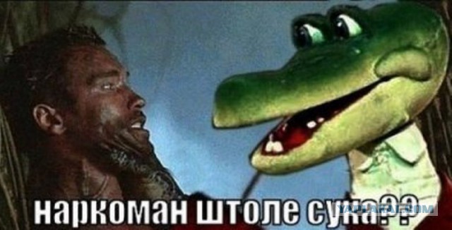 Саакашвили под кокаином?