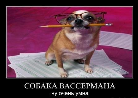 Когда вода холодная