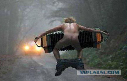 Питбуль атакует лошадь