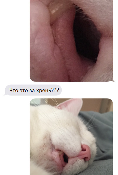 Подборка приколов на пятницу