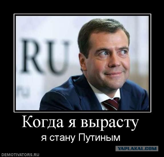 Подборка смешных и забавных фото