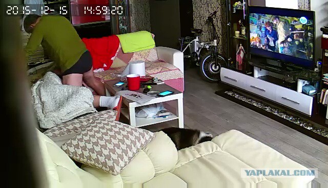 За что я люблю китайцев