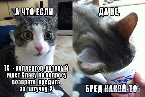 У меня грустные новости для соЯПовца. Слава Новиков тут есть?