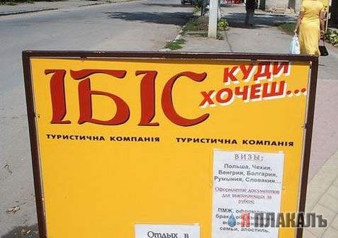 ВЫВЕСКИ, ТАБЛИЧКИ. Смешные и прикольные