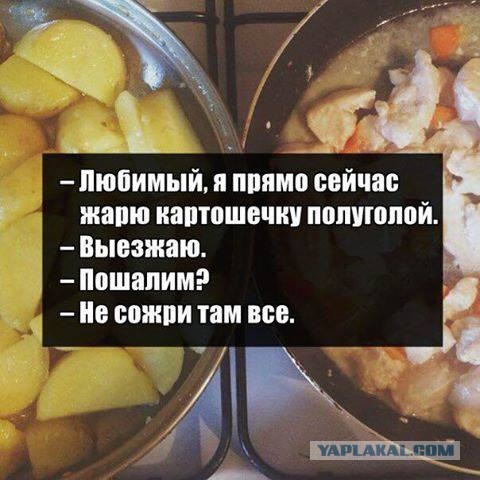 Подборка картинок