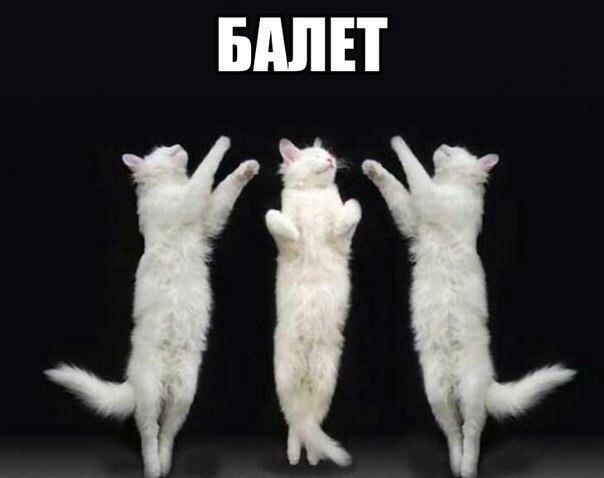 Картинки из ваших этих итернетов...