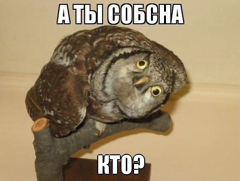 Картинки из ваших этих итернетов...