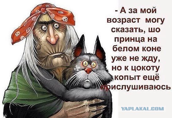 Про меркантильных баб