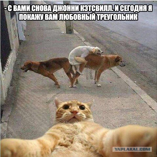 Смешные комментарии из социальных сетей 04.03.2016