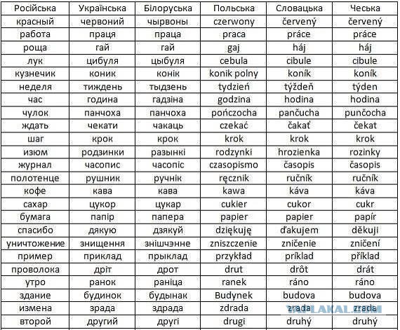 Реакция на белоруский язык (Брест)