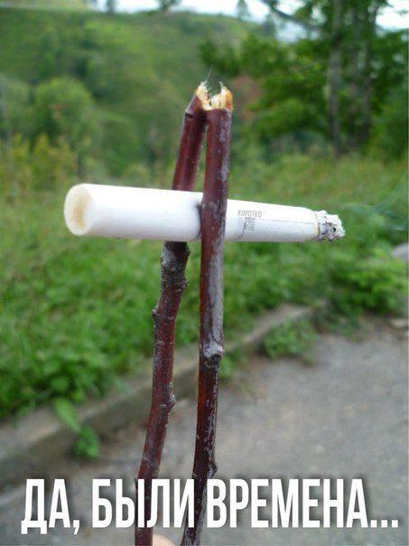 Подборка интересных и веселых картинок