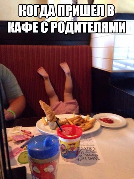 Забавные картинки из сети
