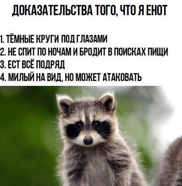 Субботняя подборочка картинок