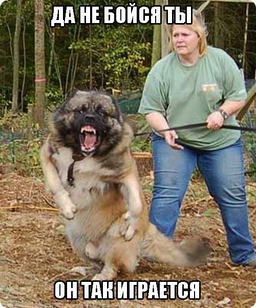 Дачные приколы