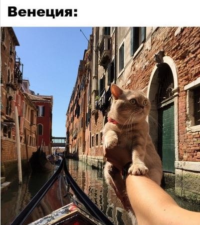 Интересные и веселые картинки