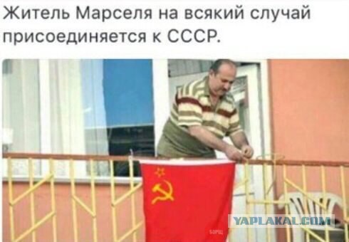 Так кто быдло?