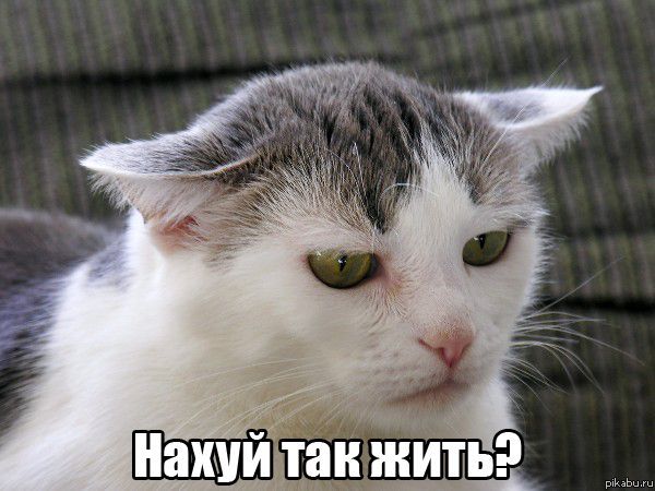 Попробуй сделать !