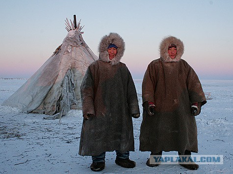 Народная любовь к законно избранному мэру Собянину не знает границ