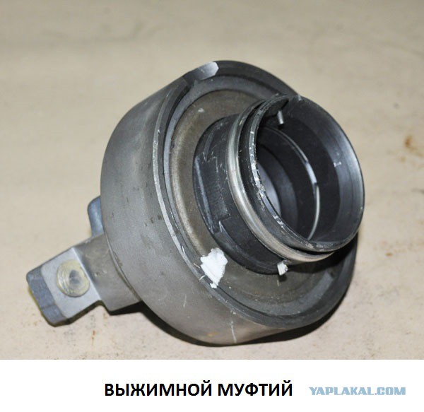 «Женщины России просят обрезать язык муфтию Северного Кавказа»