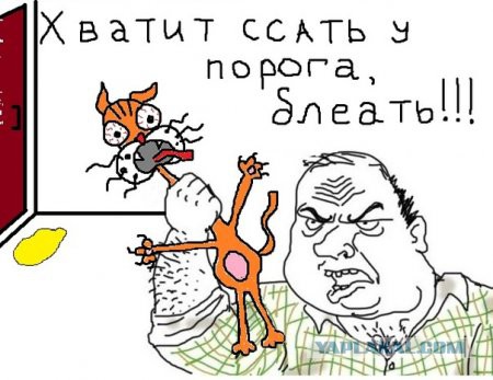 Будь мужиком. Return.