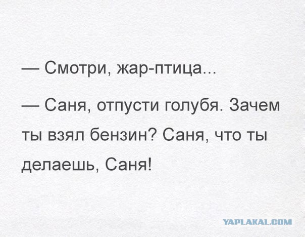 Смешные комментарии из социальных сетей 30.09.2016