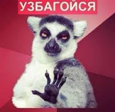 Свастика - украшение Новогодней Риги