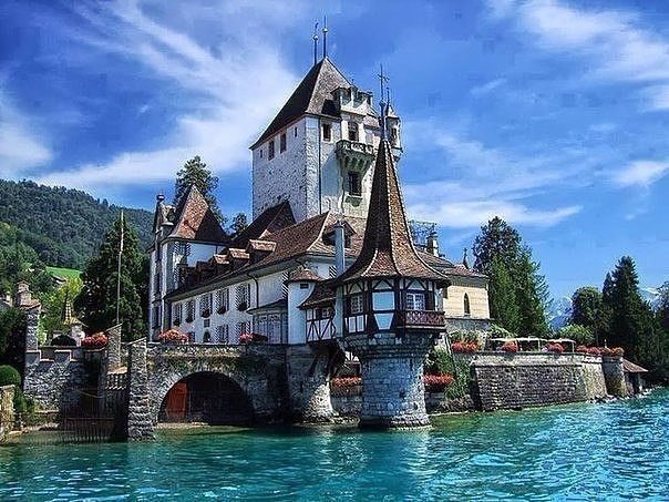 Моменты, запечатлённые на фото и просто позитив 5