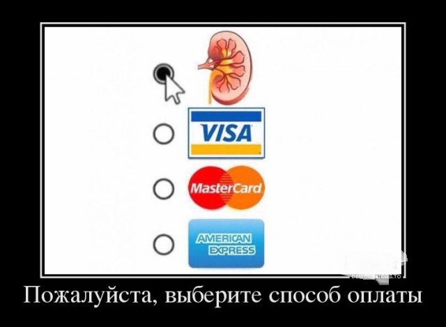 Картинки в черных рамках с подписями