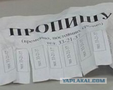 «Пожалуйста, пришлите российскую полицию в Париж. Он превратился в гетто и полон мигрантов, мусульман и негров»