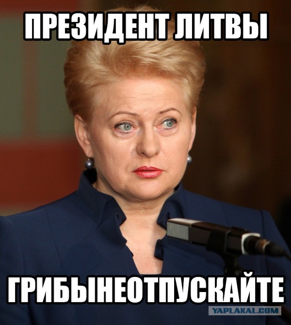 Когда что-то пошло не так...Литва.