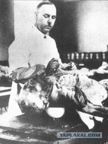 "Перец, солнце и подорожник"