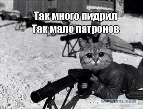 ТП на отдыхе