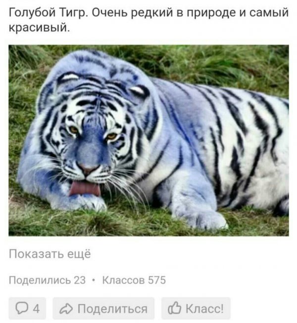 Деграклассники - 8
