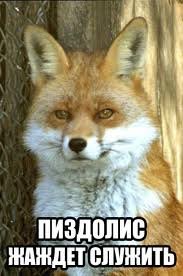 "Не хочу убивать, я хочу просто тебе полизать" - мужчина пошел на преступление ради куни