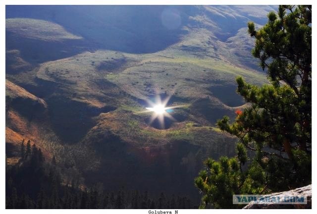 Крошка сын к отцу пришел