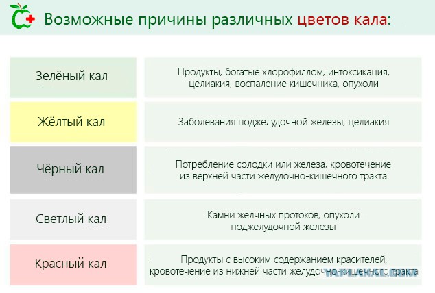 Факты про флатуленцию